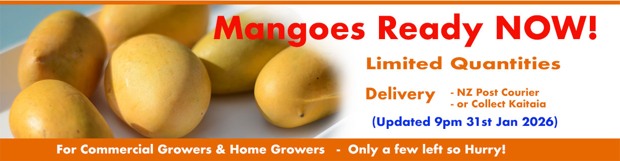 Mango and Papaya Specialists