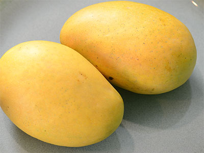 Banganapalli Mango
