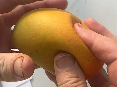 Cheruku Rasalu Mango