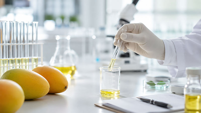 The science of mango flavour