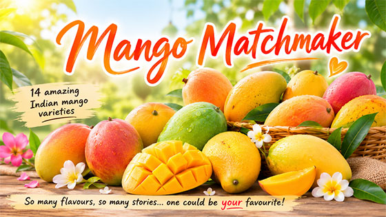 Mango Matchmaker — find your perfect variety