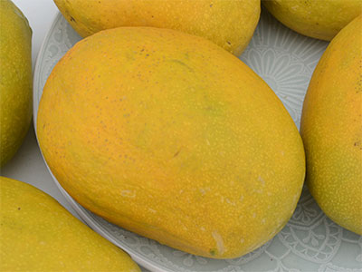 Rajapuri Mango
